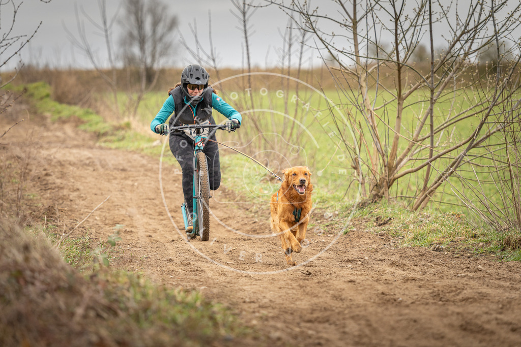 DV3A1449 | Hundefotografie, Tierfotograf, Pfotenfotografie, Fotoshooting Hund, Hunde Portrait, Hundesport, Hundeportraits, Heideshooting, Hunde, Sportfotograf, Hundefotograf, Turnierhundsport, THS,  - Realisiert mit Pictrs.com