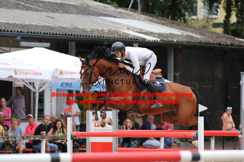 IMG_2859 | lmwpictures - Realisiert mit Pictrs.com