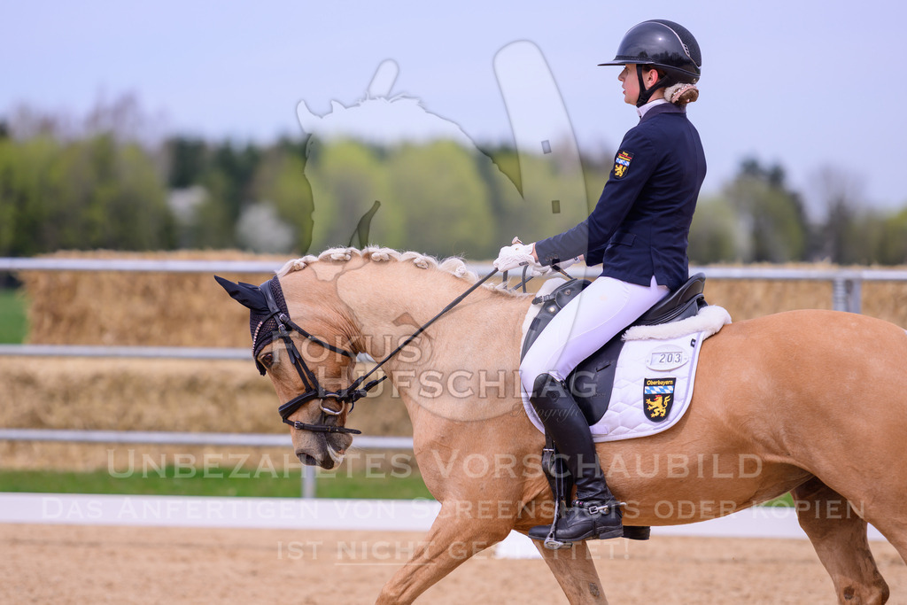 09042026-Mammendorf-Prfg07-0434 | Fokus Hufschlag Fotografie - Realisiert mit Pictrs.com