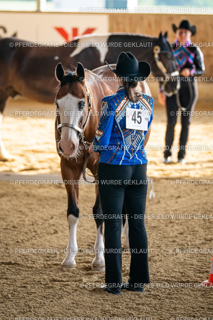 DSC07365 | Pferdegrafie