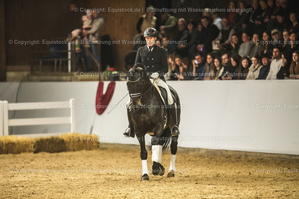 20240302_Hengstvorstellung_Marbach_TOMsPiC_1477 | equistock