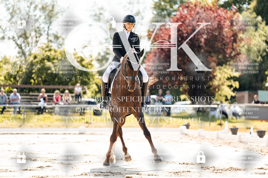 CK909149 | Turnierfotografie Pferdefotografie Trier Rheinland-Pfalz Pferdesport Reitsport Tierfotografie Sportfotografie Pferdevideo Pferdevideografie Equestrianvideography equestrianphotography  - Realisiert mit Pictrs.com