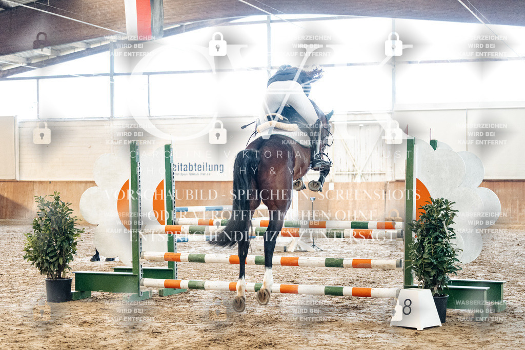 CK904321 | Turnierfotografie Pferdefotografie Trier Rheinland-Pfalz Pferdesport Reitsport Tierfotografie Sportfotografie Pferdevideo Pferdevideografie Equestrianvideography equestrianphotography  - Realized with Pictrs.com