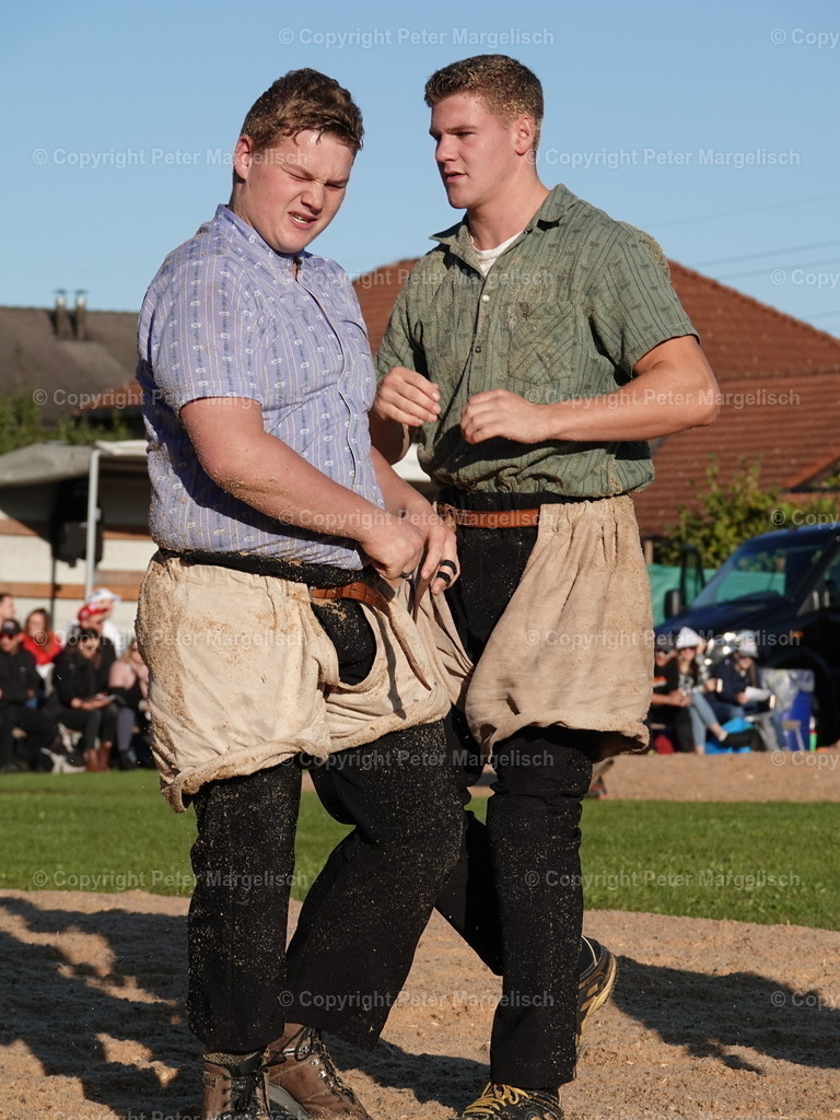 DSC05522 | Schwingen - Realisiert mit Pictrs.com