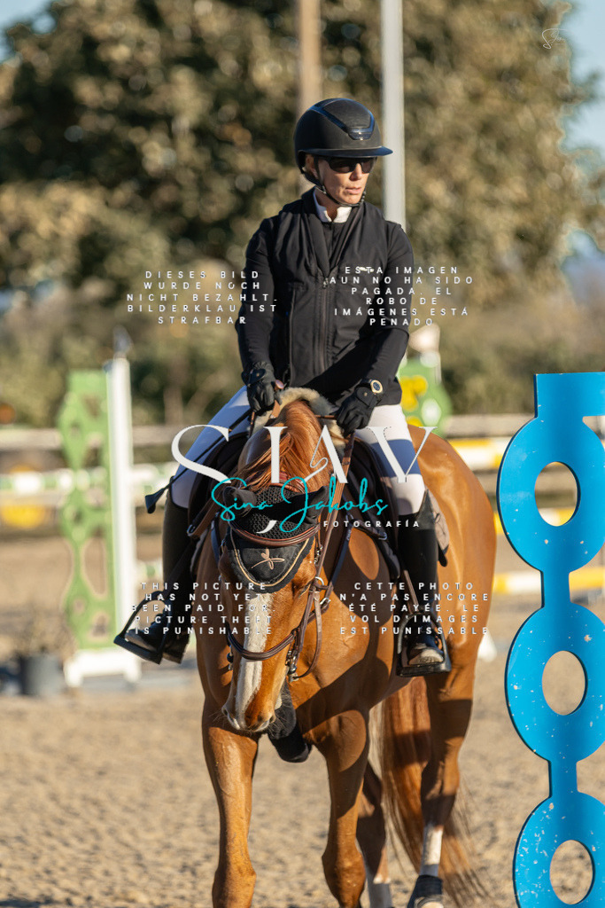 IMG_2475 | s-jay-photography - Realisiert mit Pictrs.com