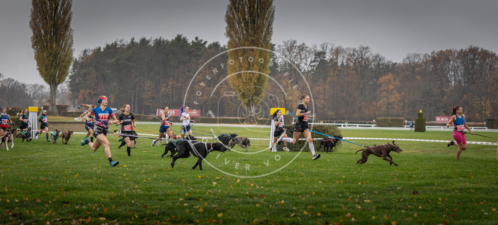 CaniXpix_DV3A8755 | Hundefotografie, Tierfotograf, Pfotenfotografie, Fotoshooting Hund, Hunde Portrait, Hundesport, Hundeportraits, Heideshooting, Hunde, Sportfotograf, Hundefotograf, Turnierhundsport, THS,  - Realisiert mit Pictrs.com