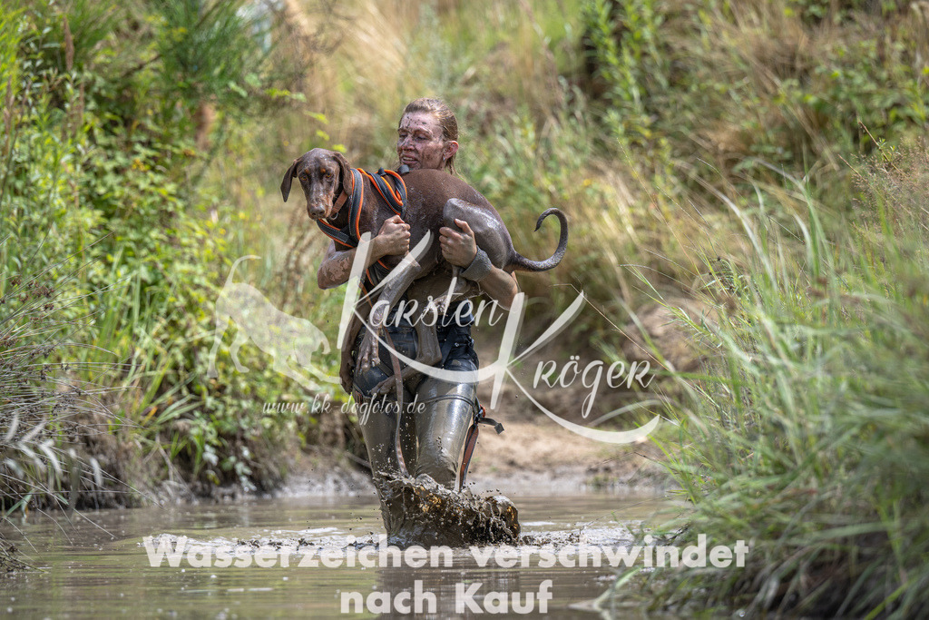 1241_ZZ91068 | kk-dogfotos