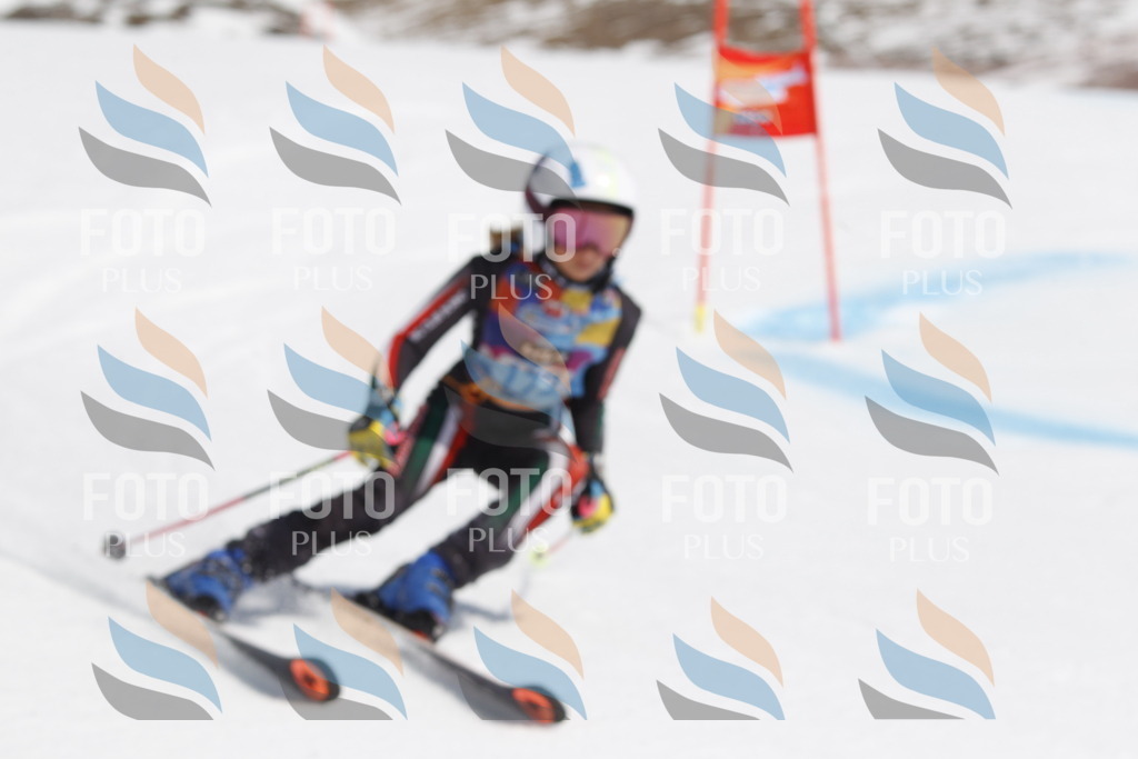 _U3G1589 | holidayphoto