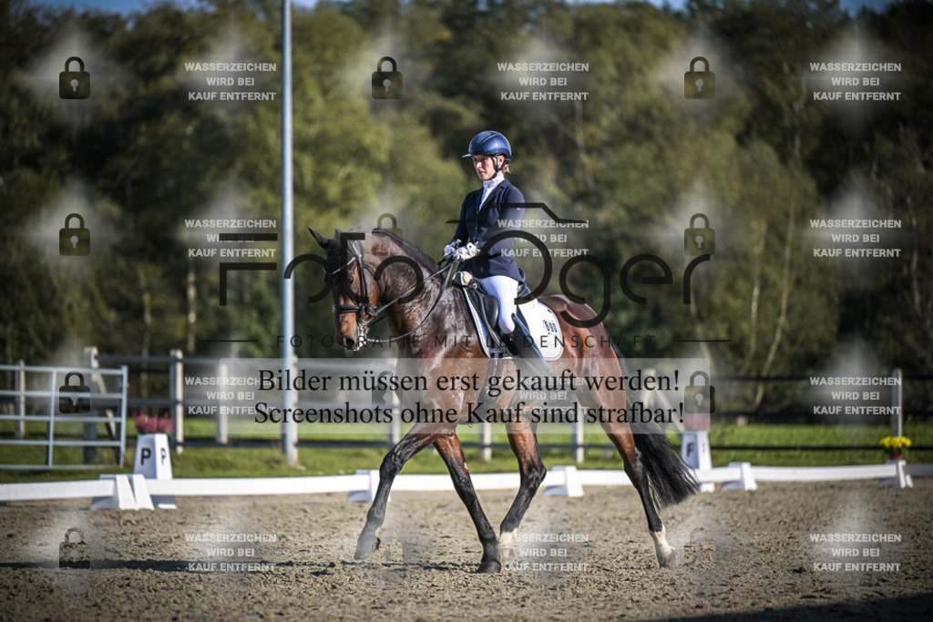 DOS_B816 | Entdecke hochwertige Reitturnierfotos von Foto Oger. Professionell, emotional und authentisch – jetzt Lieblingsmomente im Shop bestellen.Deutschlandweite Turnierfotografie. - Realisiert mit Pictrs.com