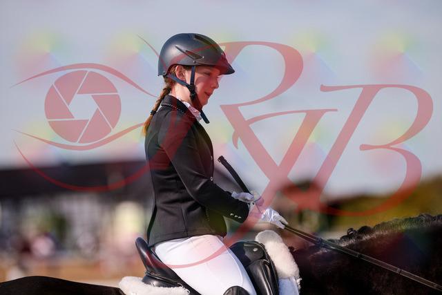 2026_10_03_Siefer-Hof_121921_Z81_20264167 | Professionelle Reitsport-, Turnier- und Eventfotografie von Robert Broda. Galerien mit ausgewählten und bearbeiteten Bildern direkt online ansehen und bestellen.