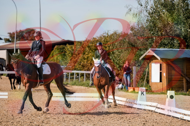 2026_10_03_Siefer-Hof_130255_Z63_64518651 | Professionelle Reitsport-, Turnier- und Eventfotografie von Robert Broda. Galerien mit ausgewählten und bearbeiteten Bildern direkt online ansehen und bestellen.