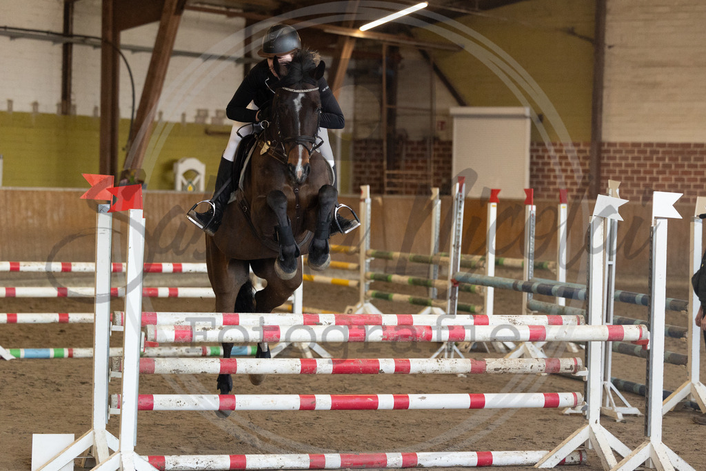 994A9827 | sabrinanicolaifotografie - Realisiert mit Pictrs.com