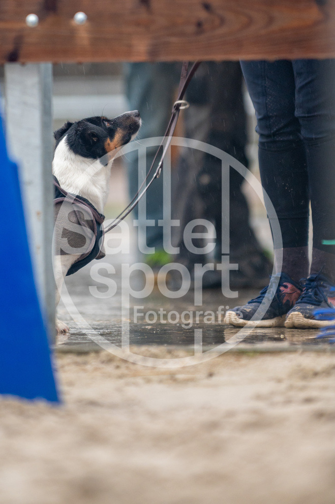 DSC_2997 | sattelsport - Realisiert mit Pictrs.com