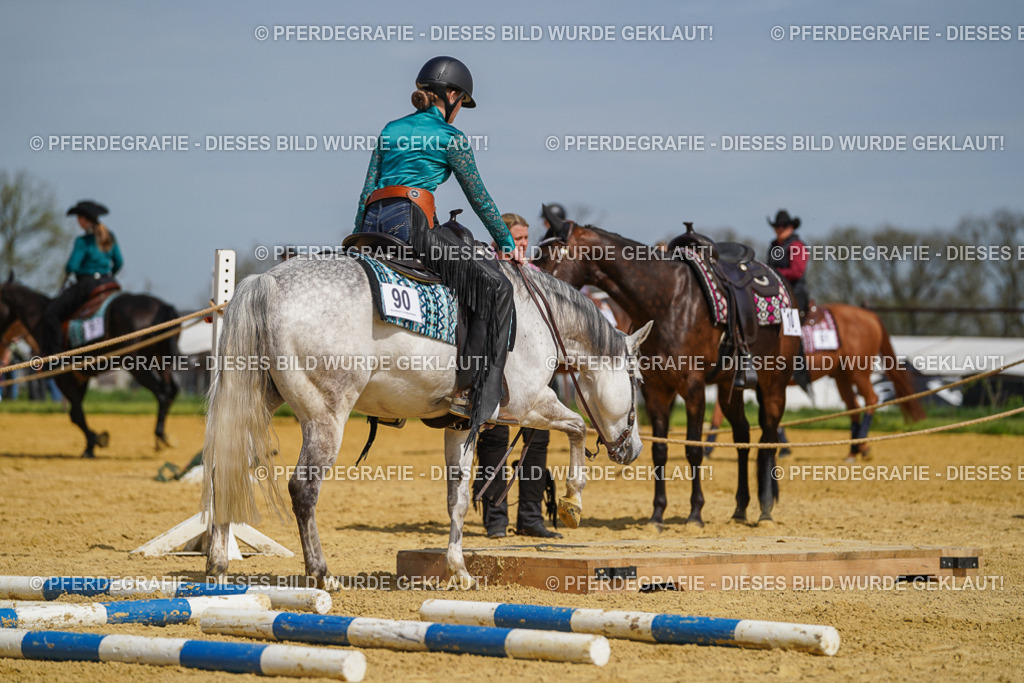 DSC04580 | Pferdegrafie