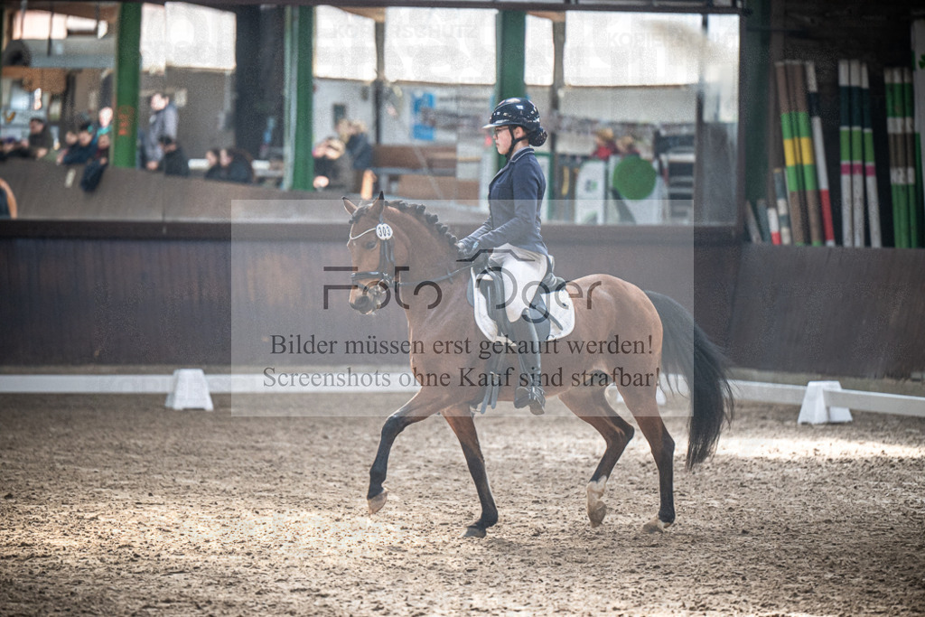DOS_1017 | Entdecke hochwertige Reitturnierfotos von Foto Oger. Professionell, emotional und authentisch – jetzt Lieblingsmomente im Shop bestellen.Deutschlandweite Turnierfotografie. - Realisiert mit Pictrs.com