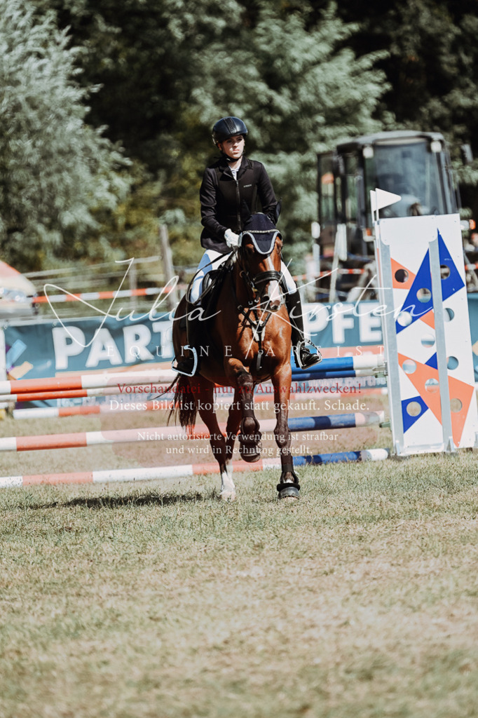 DSC_9774 | Pferde- und Turnierfotografie in Westsachsen. Pferdeportraits, Auftragszeichnungen und intuitive Kunst.