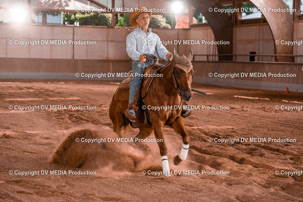 NE201262 | dv-media-shop - Realisiert mit Pictrs.com