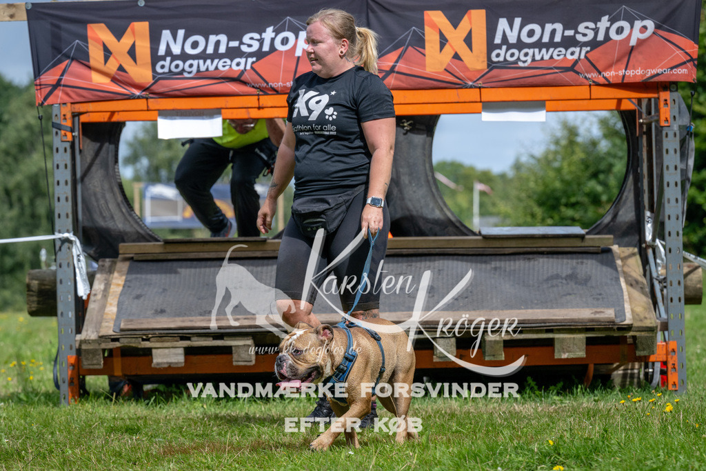 1204_ZZ93450 | kk-dogfotos