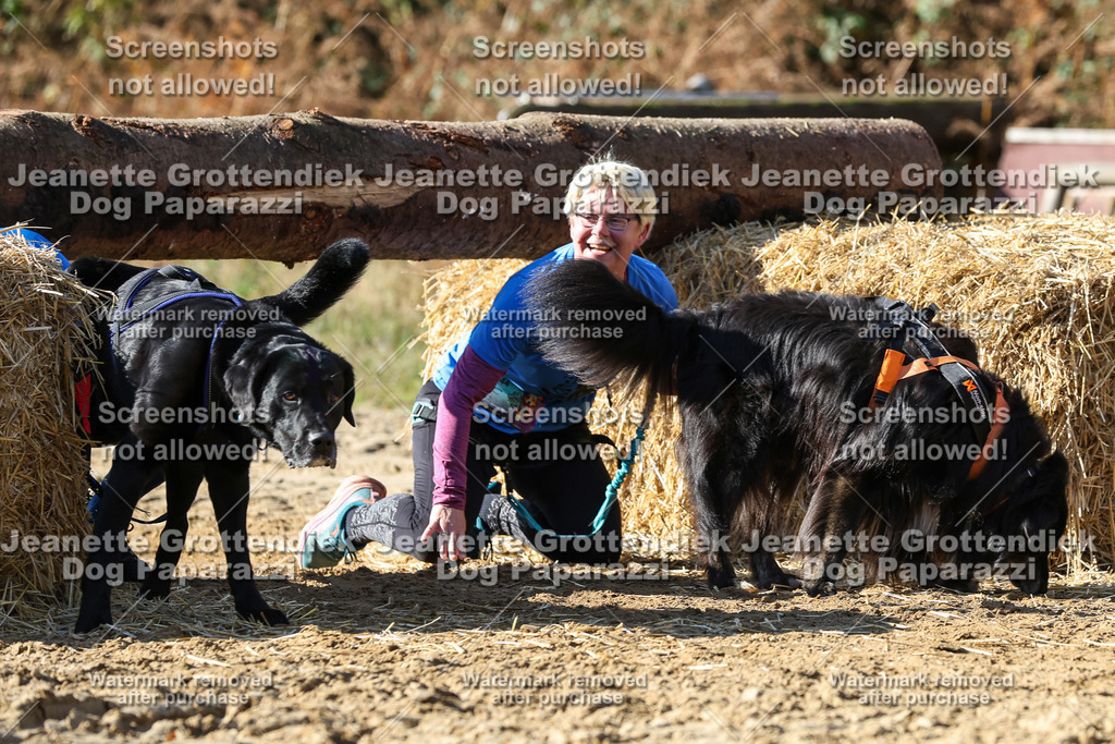 Dog Paparazzi - Strongdog 10-25-4794 | Dog Paparazzi Jeanette Grottendiek Fotografie & Videografie - Realisiert mit Pictrs.com