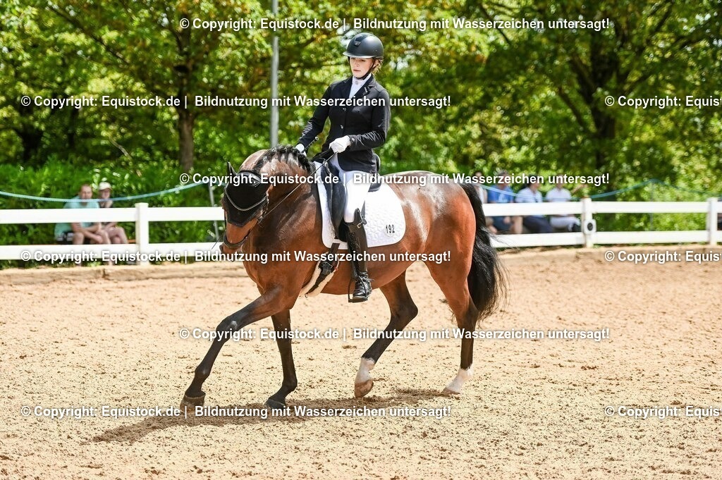 20230716_03_Dressurprfg. Kl.L - Tr._0446 | equistock