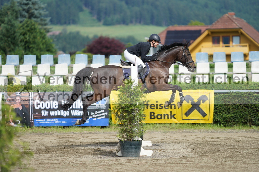 DSC04605 | equestrian-live-com