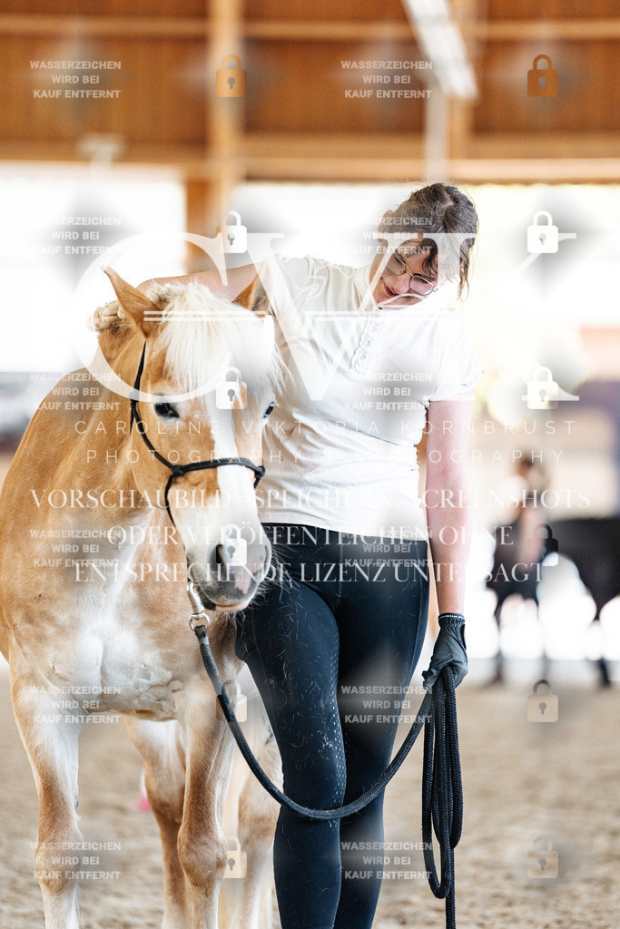 CK907351 | Turnierfotografie Pferdefotografie Trier Rheinland-Pfalz Pferdesport Reitsport Tierfotografie Sportfotografie Pferdevideo Pferdevideografie Equestrianvideography equestrianphotography  - Realisiert mit Pictrs.com