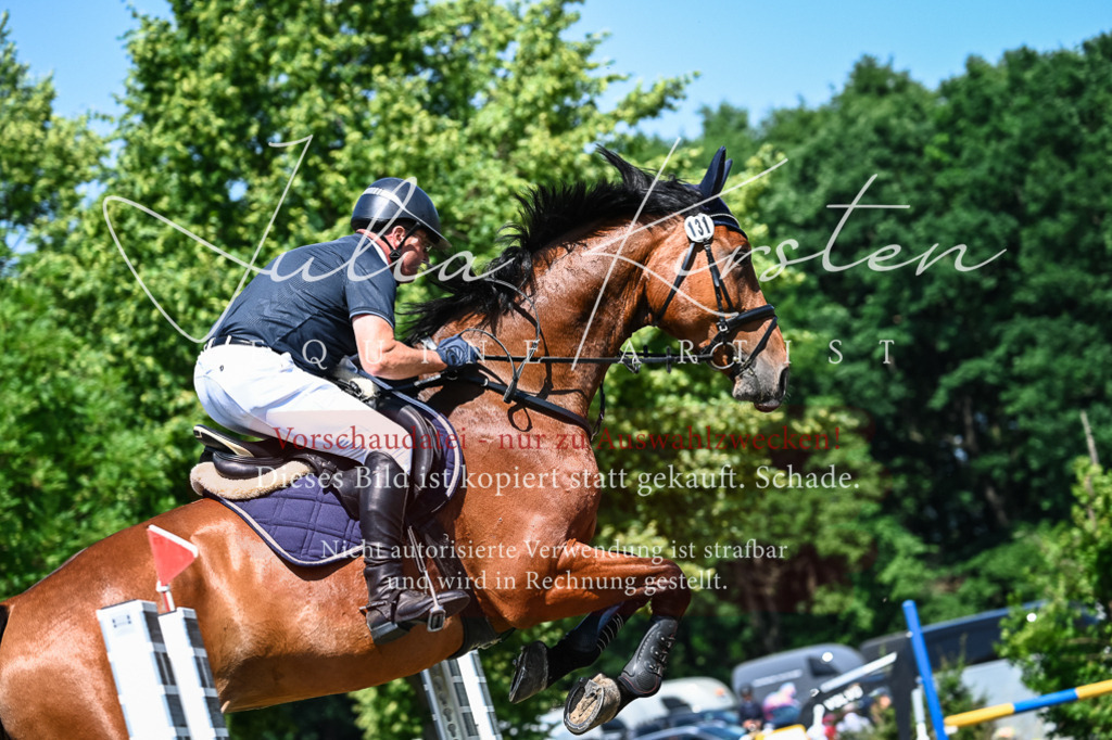 DSC_0987 | Pferde- und Turnierfotografie in Westsachsen. Pferdeportraits, Auftragszeichnungen und intuitive Kunst.
