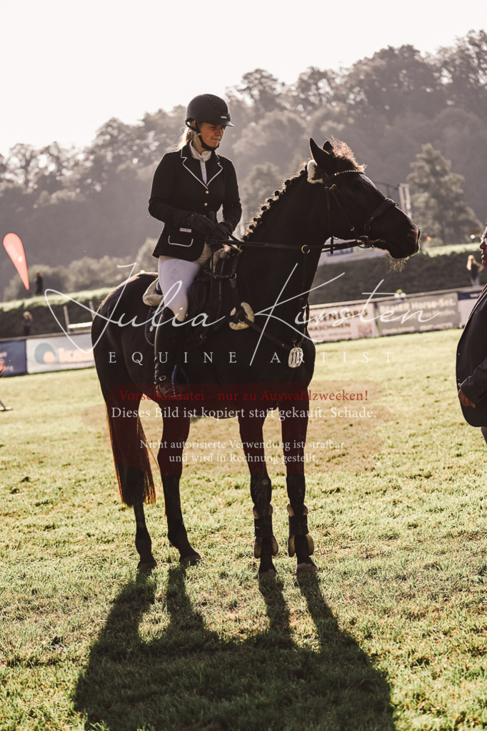 DSC_4556 | Pferde- und Turnierfotografie in Westsachsen. Pferdeportraits, Auftragszeichnungen und intuitive Kunst.