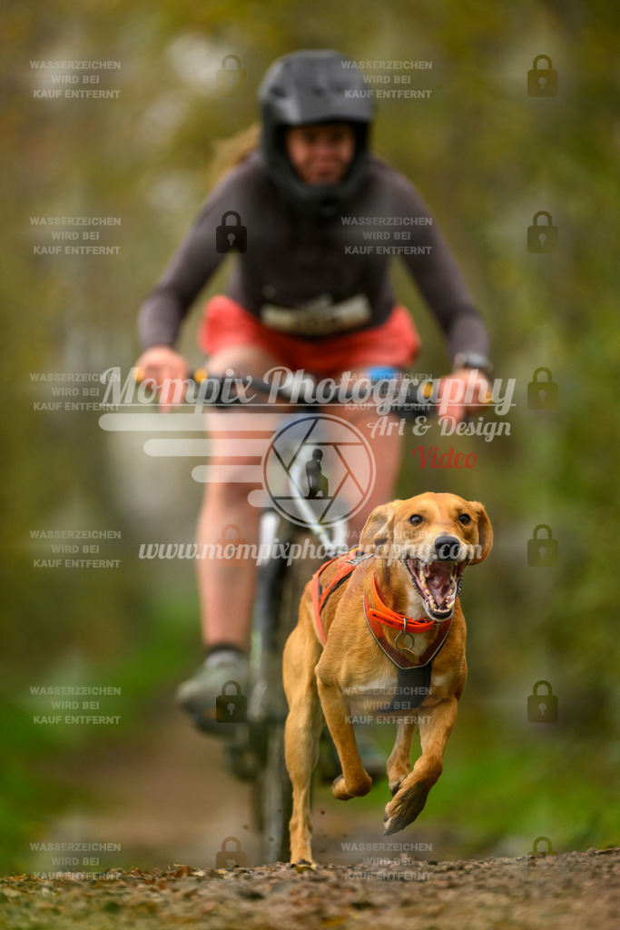MompixPhotography_20TSB_E6_Bike-153 | PayLife