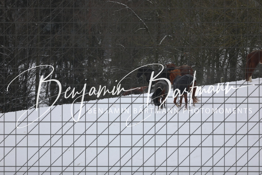 AZ2A3368 | Benjamin Bartmann Photomoments