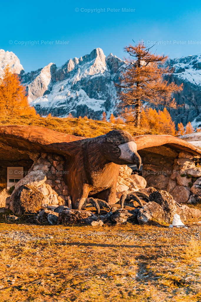 Dachstein_Herbst_Spezial-16 | piet_flosse