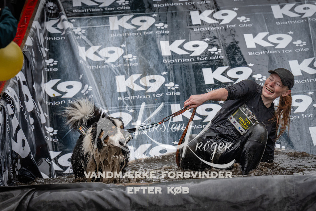 1115_ZZ92383 | kk-dogfotos