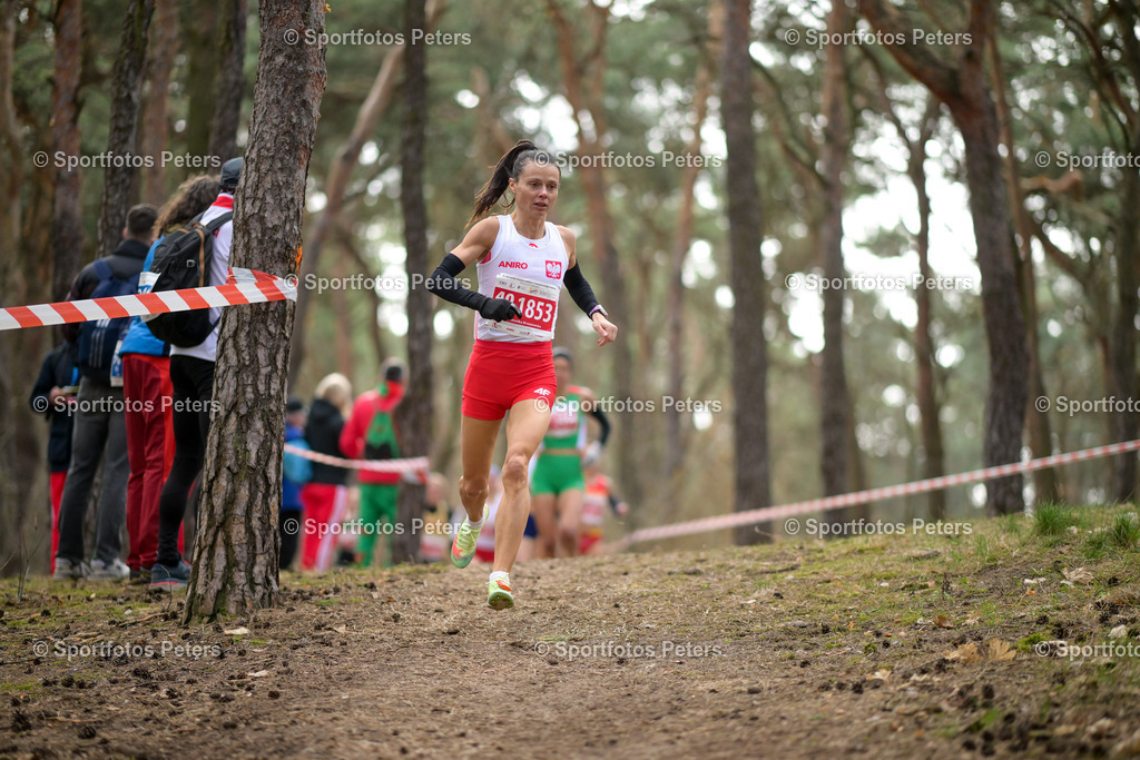 Masters Hallen-EM_Tag 6-96 | Masters Hallen-EM am 01.04.2026 in Torun - Realisiert mit Pictrs.com