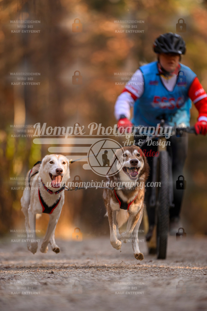 MompixPhotography_DM_AKDM_SO_2025_Scooter-62 | PayLife