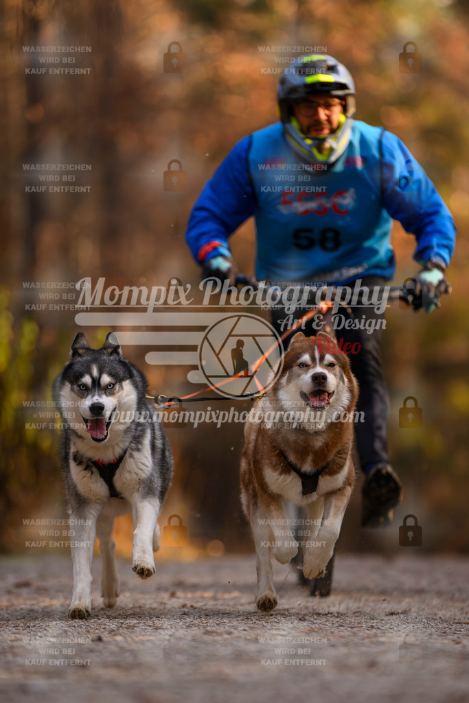 MompixPhotography_DM_AKDM_SO_2025_Scooter-68 | PayLife