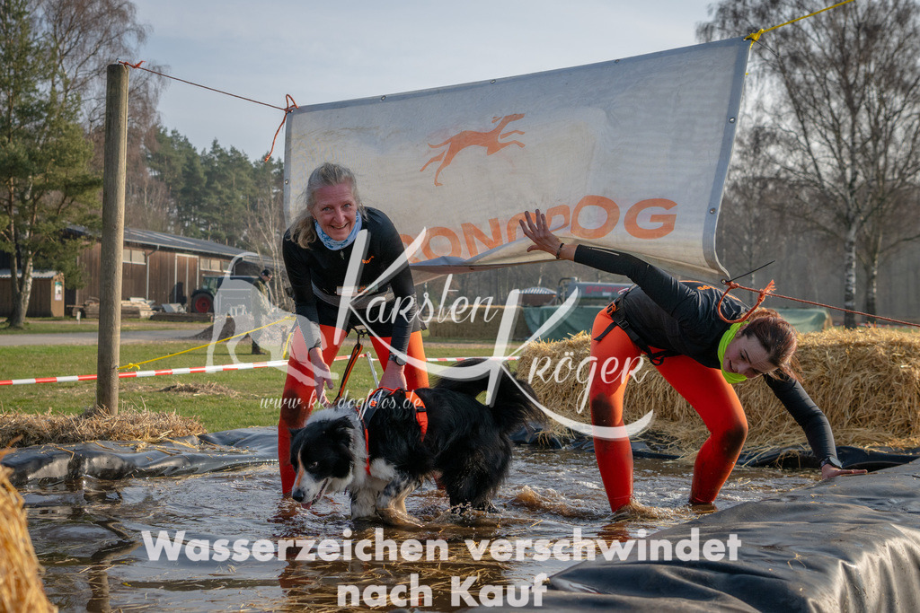 _ZZ91623 | kk-dogfotos