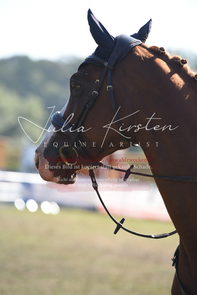 DSC_5476 | Pferde- und Turnierfotografie in Westsachsen. Pferdeportraits, Auftragszeichnungen und intuitive Kunst.