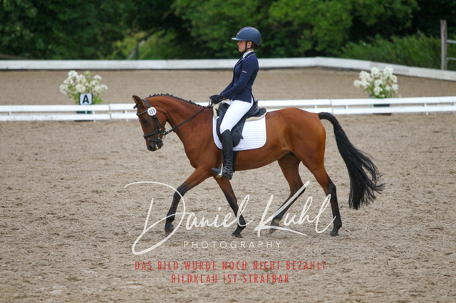 DKP46913 | Turniersportfotografie; Pferdefotografie; Dressurfotografie