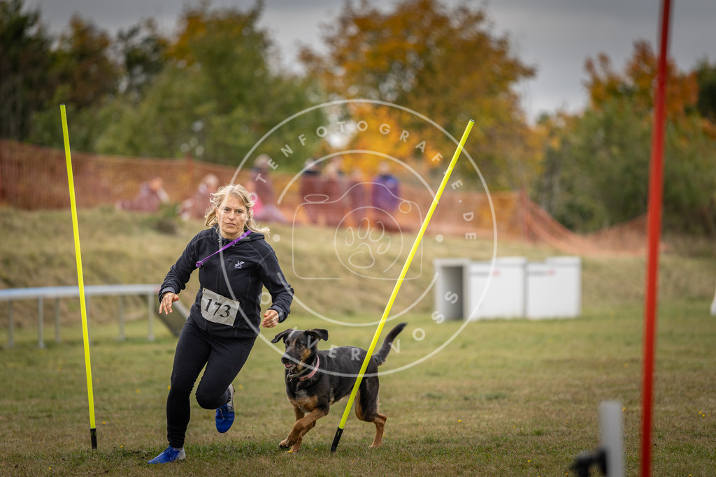 Pfotenfotografie_DV3A5725 | Hundefotografie, Tierfotograf, Pfotenfotografie, Fotoshooting Hund, Hunde Portrait, Hundesport, Hundeportraits, Heideshooting, Hunde, Sportfotograf, Hundefotograf, Turnierhundsport, THS,  - Realisiert mit Pictrs.com