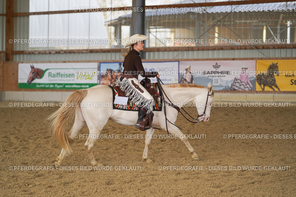 DSC00504 | Pferdegrafie