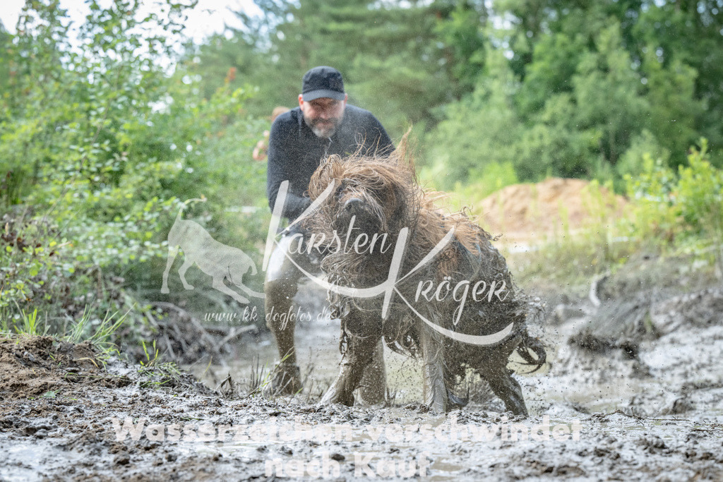 1015_ZZ91316 | kk-dogfotos