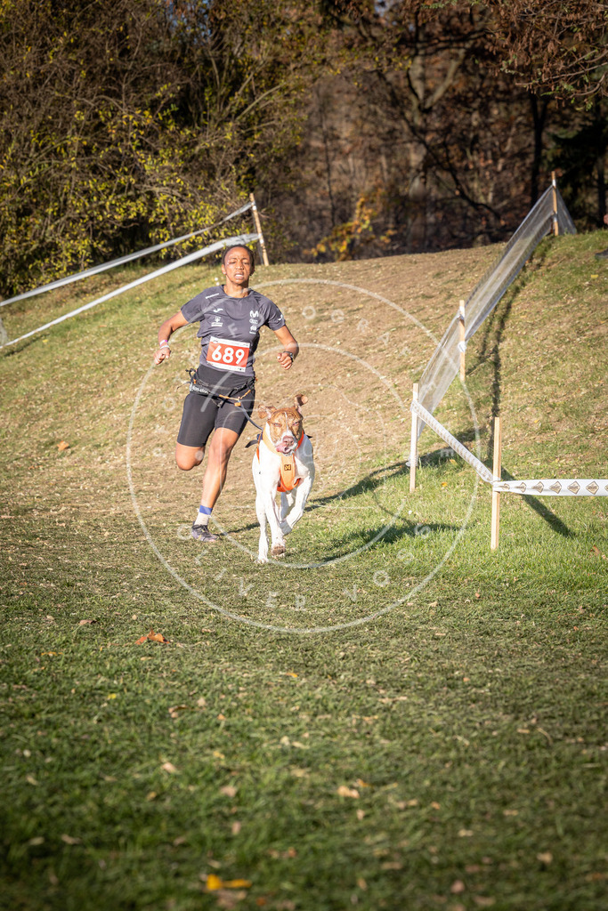 CaniXpix_0L8A9316 | Hundefotografie, Tierfotograf, Pfotenfotografie, Fotoshooting Hund, Hunde Portrait, Hundesport, Hundeportraits, Heideshooting, Hunde, Sportfotograf, Hundefotograf, Turnierhundsport, THS,  - Realisiert mit Pictrs.com