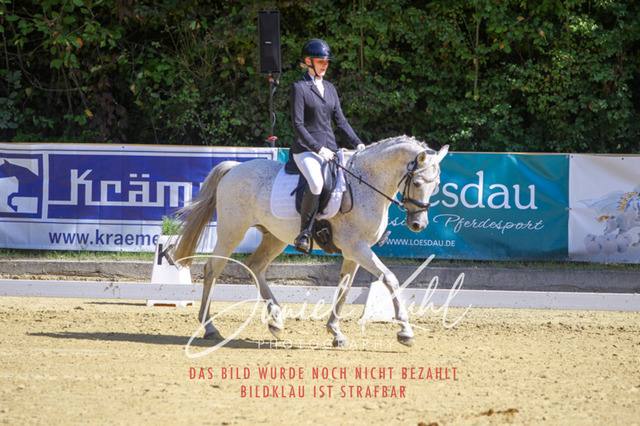 DKP41976 | Turniersportfotografie; Pferdefotografie; Dressurfotografie