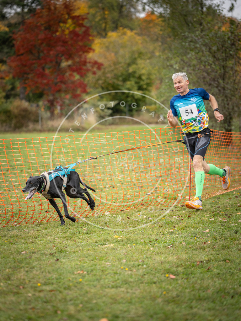 Pfotenfotografie_DV3A2548 | Hundefotografie, Tierfotograf, Pfotenfotografie, Fotoshooting Hund, Hunde Portrait, Hundesport, Hundeportraits, Heideshooting, Hunde, Sportfotograf, Hundefotograf, Turnierhundsport, THS,  - Realisiert mit Pictrs.com