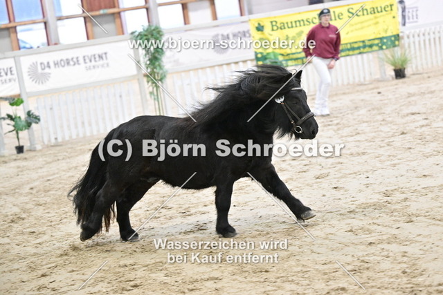 22_Lorenzo v. den Hartoghoeve - Nelson v.Ramsburg_963_0363 | Björn Schroeder Pferdefotografie