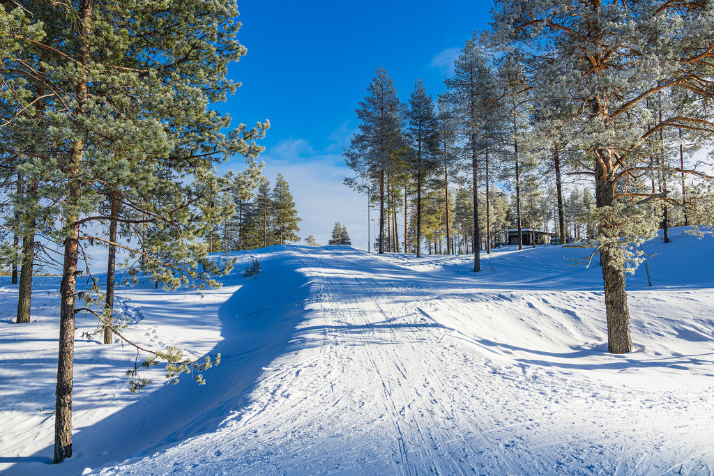 Landschaft mit Schnee im Winter in Kuusamo, Finnland | Landschaft mit Schnee im Winter in Kuusamo, Finnland.