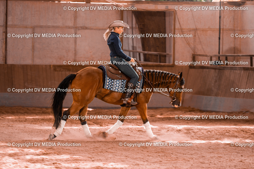 NE200881 | dv-media-shop - Realisiert mit Pictrs.com