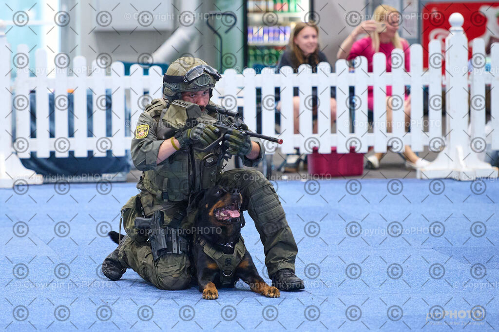 202406_ÖKV-IHA-Tulln24_DSC_2740 | proPHOTO - Realisiert mit Pictrs.com