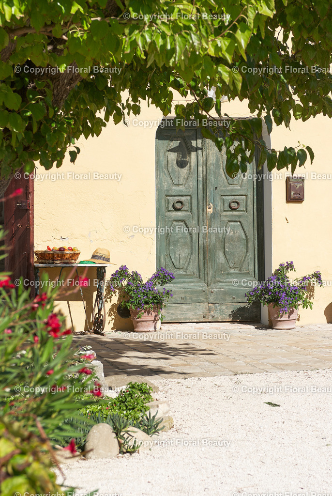 Weingut in Italien | Finka mit grüner Tür - Realisiert mit Pictrs.com