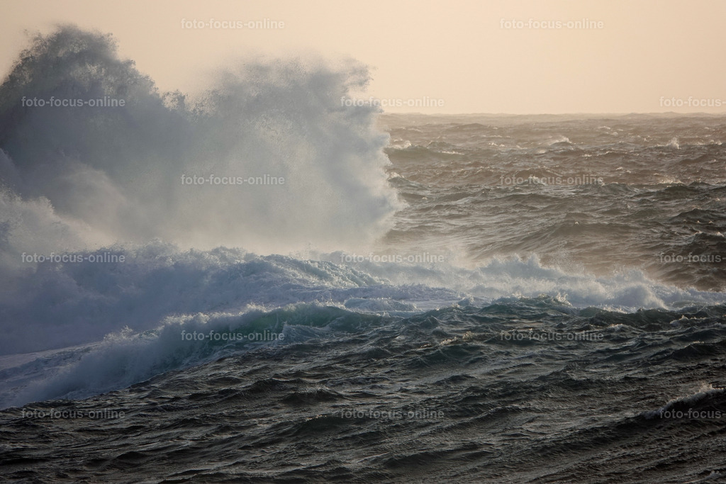 76 | foto-focus-online